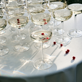 Midnight Flowers Tableware - Champagne Coupe (Box of 4)