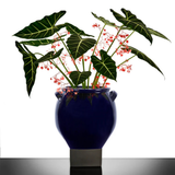 Rosamar Flowerpot 08