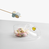 Desert Plants Collection - Glass Boxes by Ichendorf