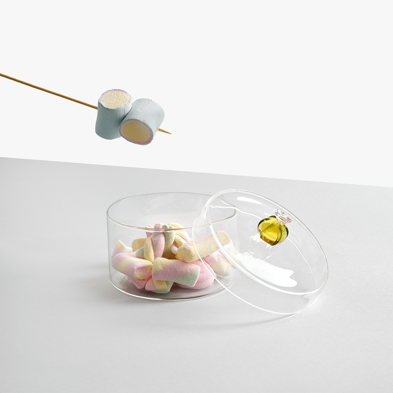 Desert Plants Collection - Glass Boxes by Ichendorf