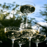 Midnight Flowers Tableware - Champagne Coupe (Box of 4) by Serax - Marni