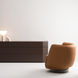 Delineo Cabinet