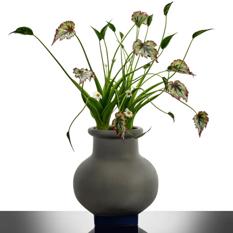 Rosamar Flowerpot 07