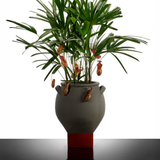 Rosamar Flowerpot 08