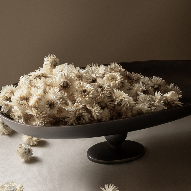 Pavot Center Piece by Audo