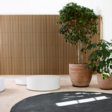 Bamboo Collection