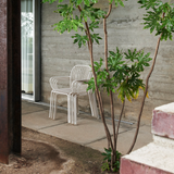 Thorvald Dining Chair